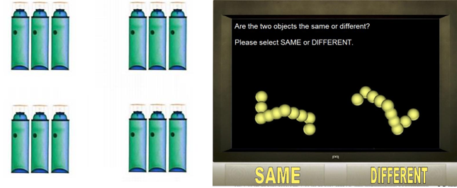 test2